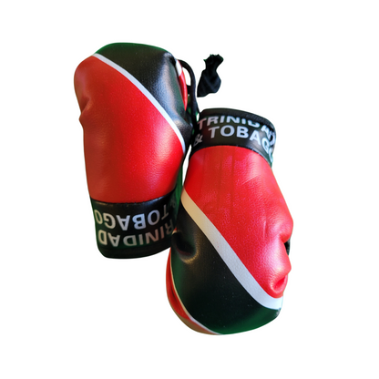 Boxing Gloves - flag gear